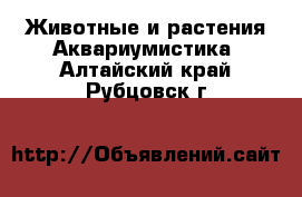 Животные и растения Аквариумистика. Алтайский край,Рубцовск г.